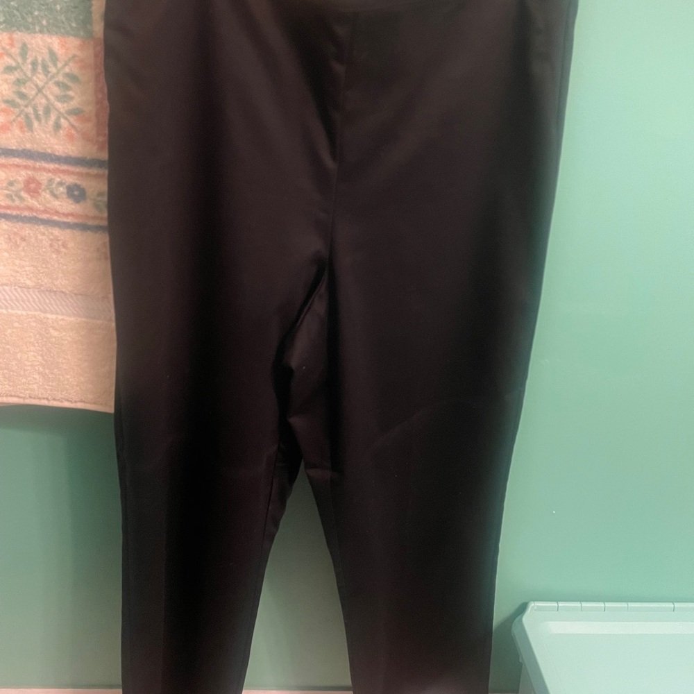 Alfred Dunner Womens 16 Pants, Pull On/ Back Elastic Waistband - Picture 8 of 16
